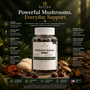 Benefits of mushroom supplements for immune health and stress support